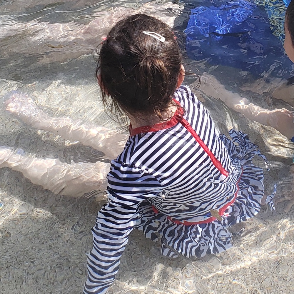 4T Cat & Jack navy striped swimsuit with red accents - Picture 3 of 3